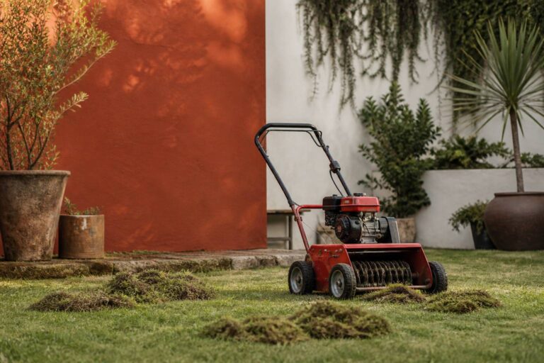 Scarificateur thermique : comparatif et période idéale