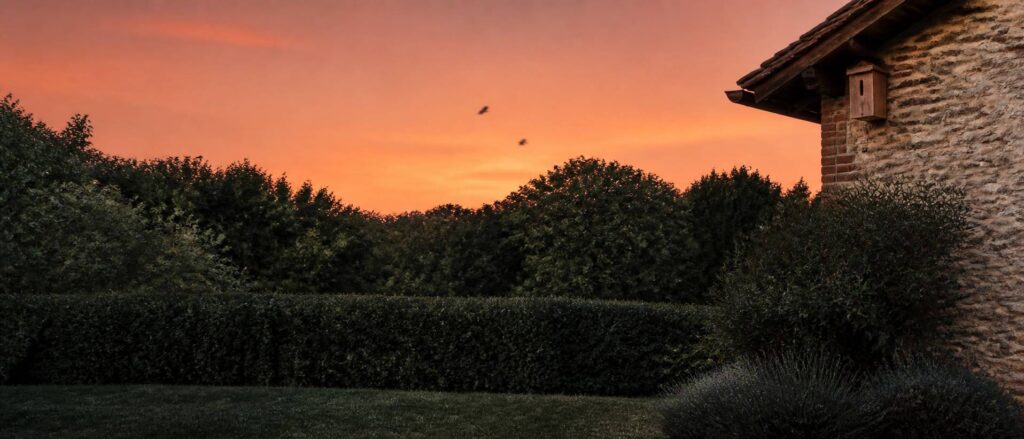 Nichoir à chauve-souris en bois brut installé sous l'avant-toit d'une maison au crépuscule